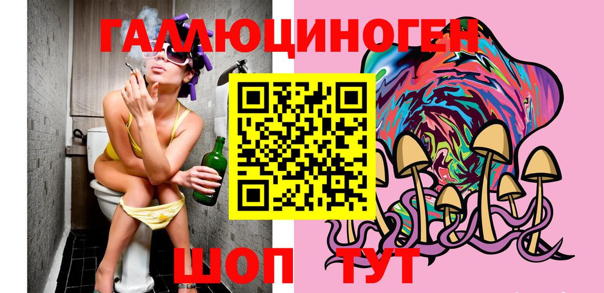 Псилоцибиновые грибы Cubensis  Вход с VPN  Клинцы  Галлюциногенные грибы мухоморы 