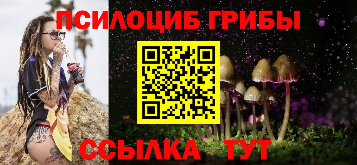 МЕФ Клинцы