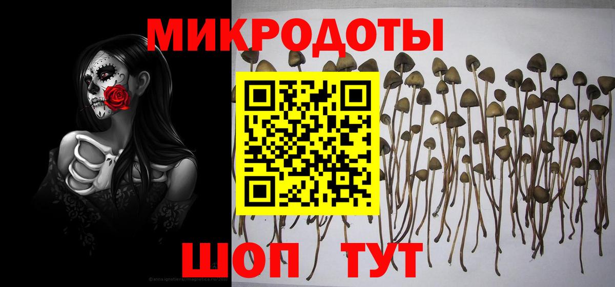 Галлюциногенные грибы прущие грибы Клинцы