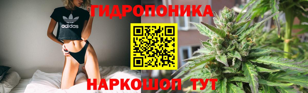 Каннабис гибрид Клинцы